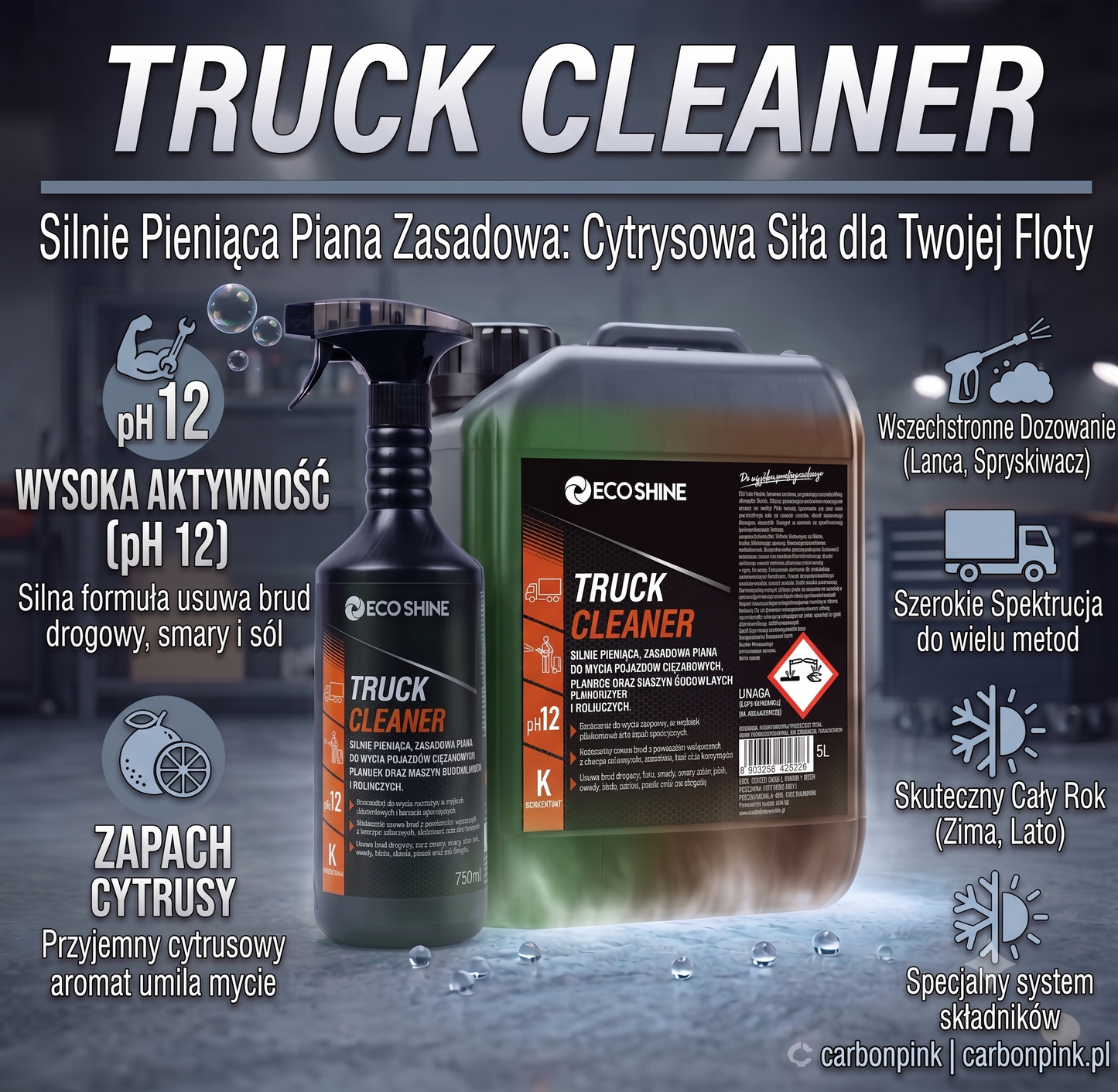 Truck Cleaner Piana