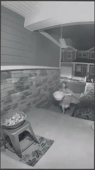 1.mp4