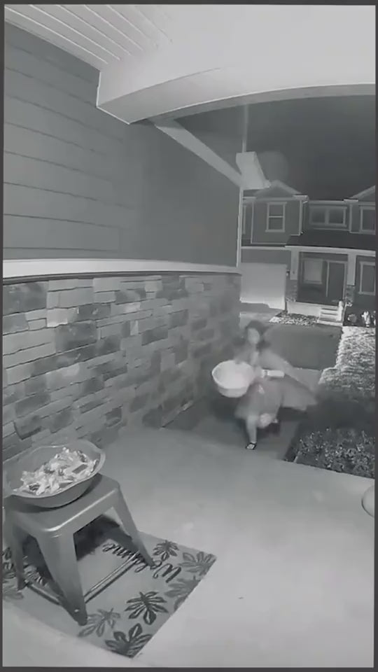 1.mp4